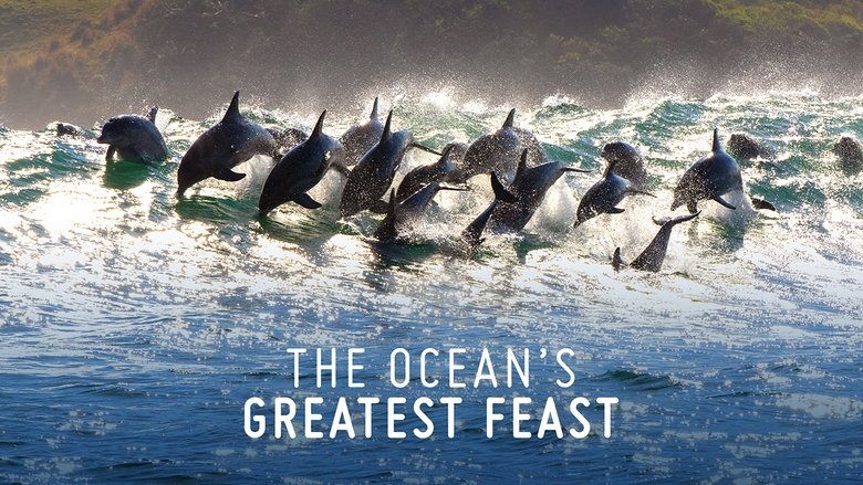Backdrop image for movie The Ocean’s Greatest Feast