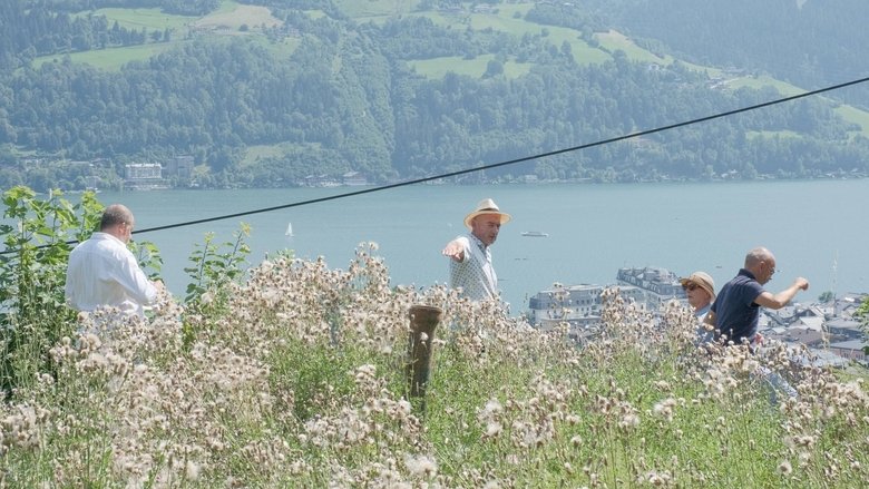 Backdrop image for movie Point of Origin - Building a house in Austria
