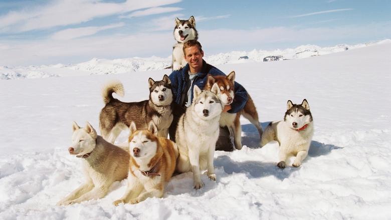Backdrop image for movie Eight Below