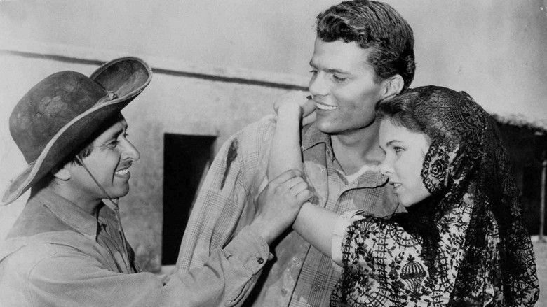 Backdrop image for movie The Young Land