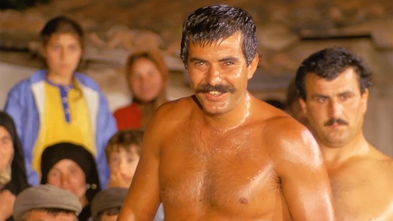 Backdrop image for movie The Wrestler