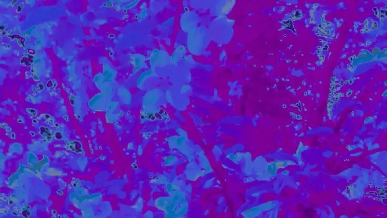 Backdrop image for movie Don't Think of Me