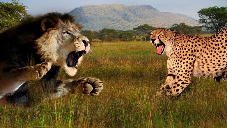 Backdrop image for movie Cat Wars: Lion vs. Cheetah