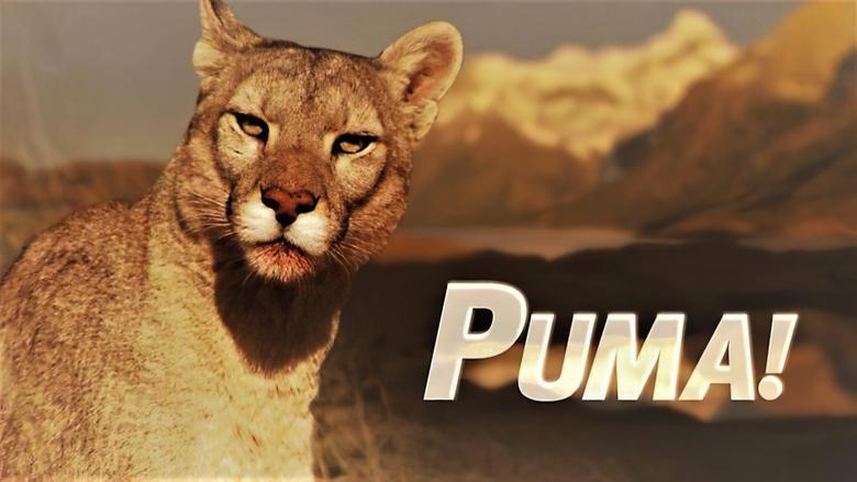 Backdrop image for movie Puma!
