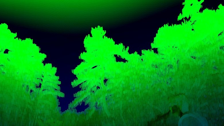 Backdrop image for movie bird5.mp4