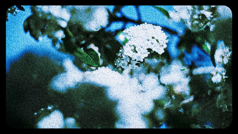 Backdrop image for movie Flowers (III)