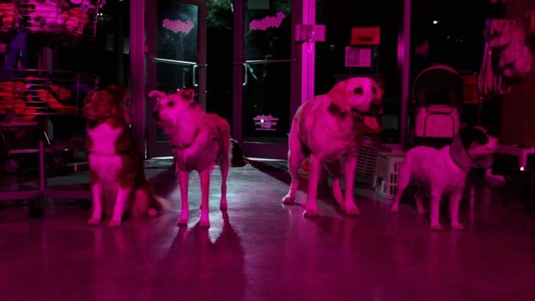 Backdrop image for movie Play Dead