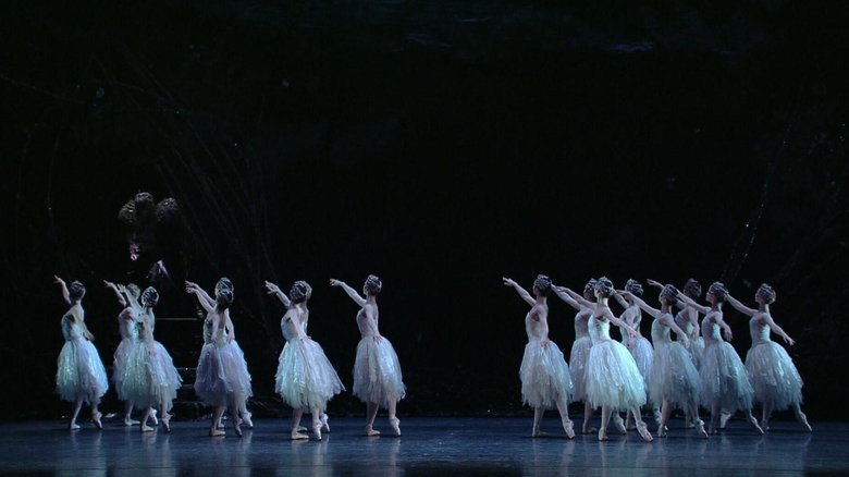 Backdrop image for movie Swan Lake