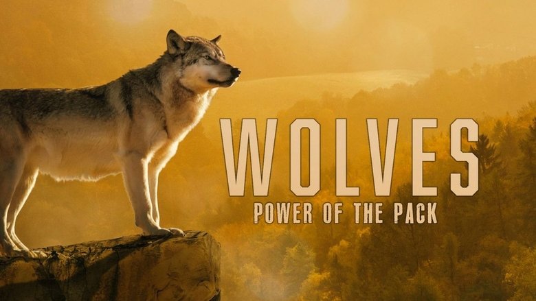 Backdrop image for movie Wolves: Power of the Pack
