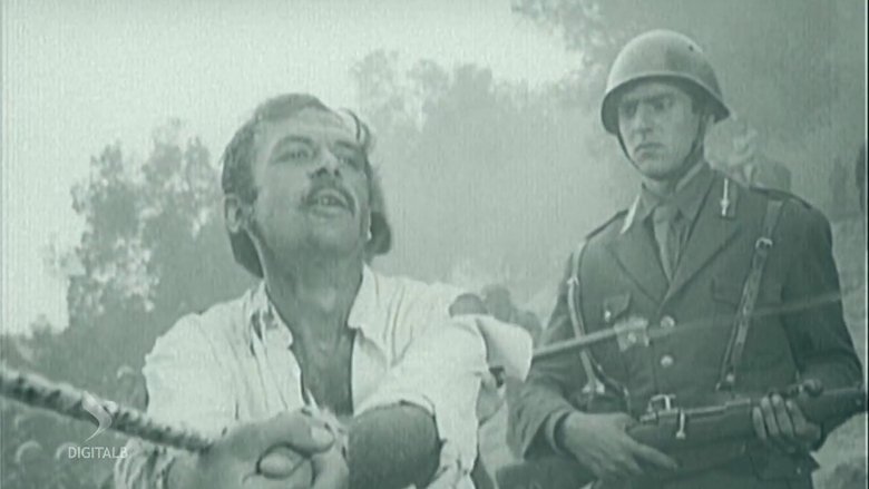 Backdrop image for movie Paths of War