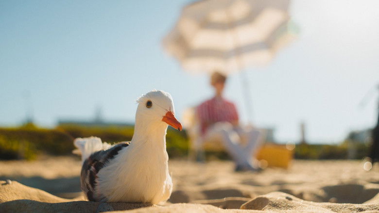 Backdrop image for movie Seagulls & Stripes