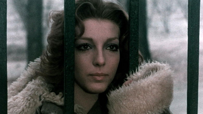 Backdrop image for movie They Have Changed Their Face