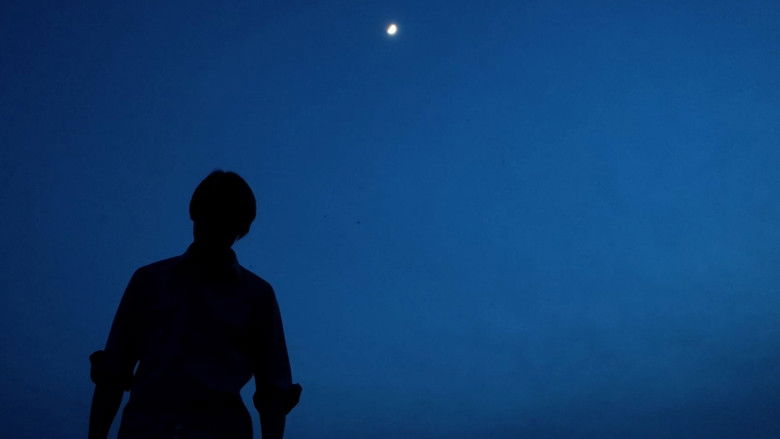 Backdrop image for movie Blood Money