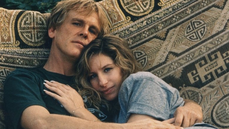 Backdrop image for movie The Prince of Tides