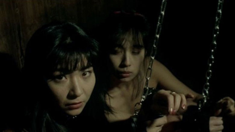 Backdrop image for movie Dan Oniroku: Female Bondage Torture