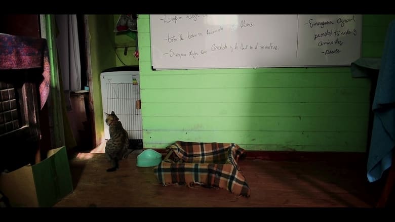 Backdrop image for movie experimento de tiempo y Trufas