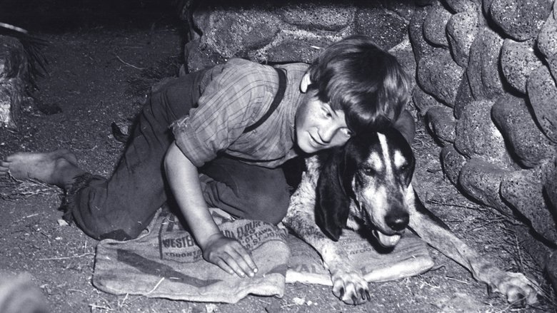 Backdrop image for movie A Boy and His Dog