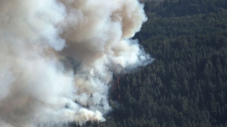 Backdrop image for movie Ecos del Fuego