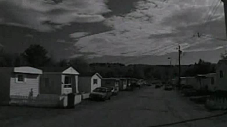 Backdrop image for movie Trailer Park Boys