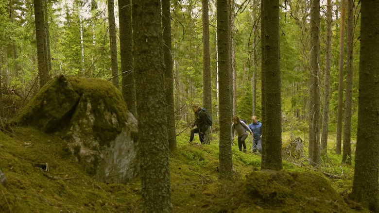 Backdrop image for movie What We Can't See