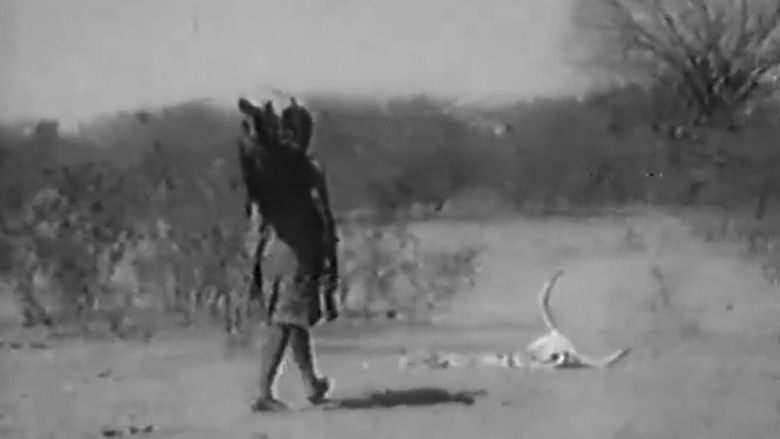 Backdrop image for movie Nelisita