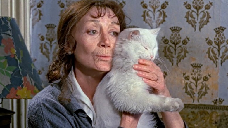 Backdrop image for movie Madame