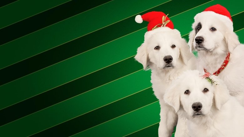 Backdrop image for movie Santa Buddies