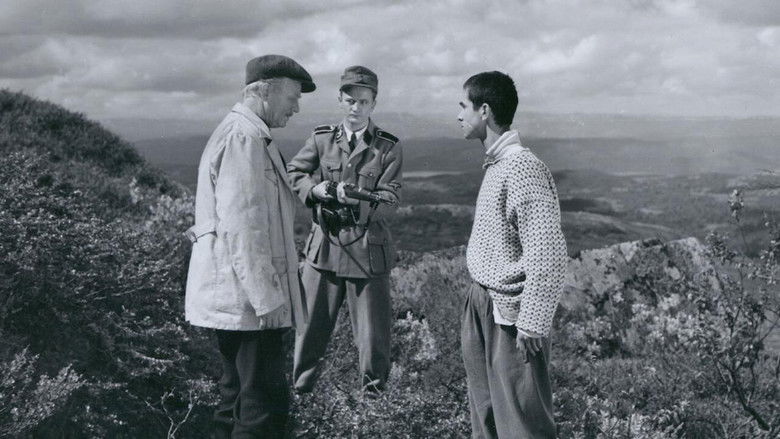 Backdrop image for movie The Blood Road