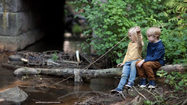 Backdrop image for movie The Stick