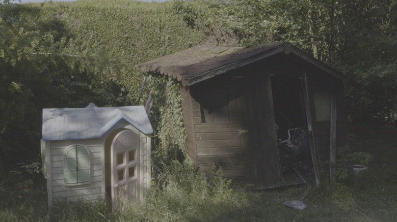 Backdrop image for movie Rayons