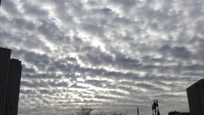 Backdrop image for movie Rain Clouds