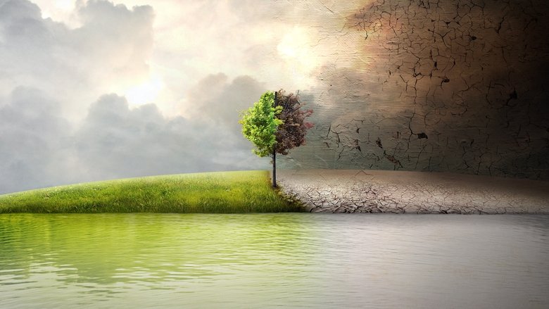 Backdrop image for movie Before the Flood