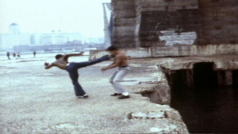 Backdrop image for movie The Deadly Art of Survival