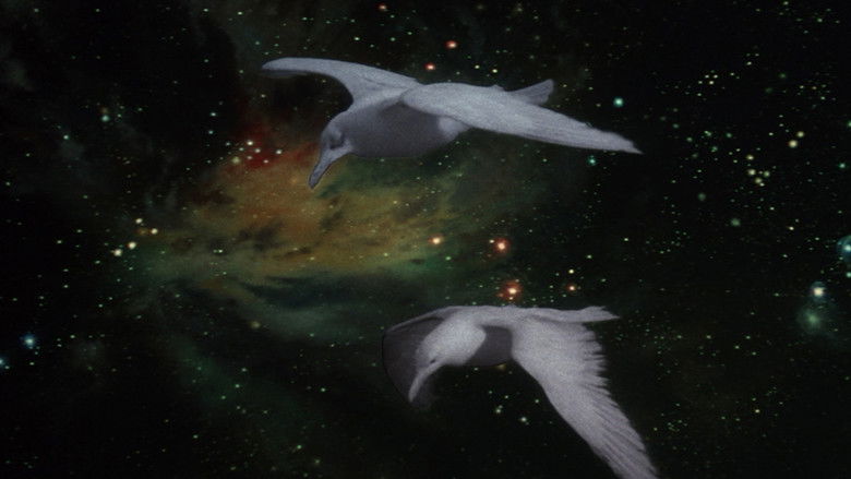 Backdrop image for movie Jonathan Livingston Seagull