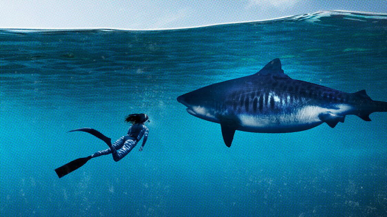 Backdrop image for movie World's Biggest Tiger Shark