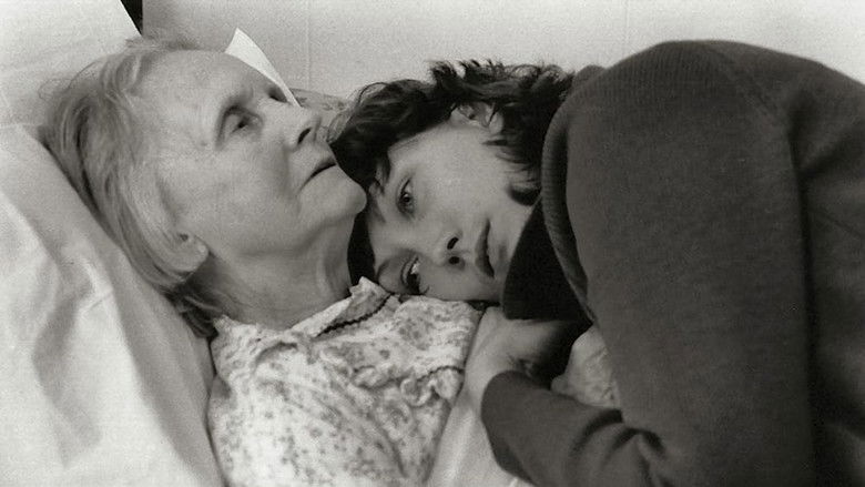 Backdrop image for movie Life Classes