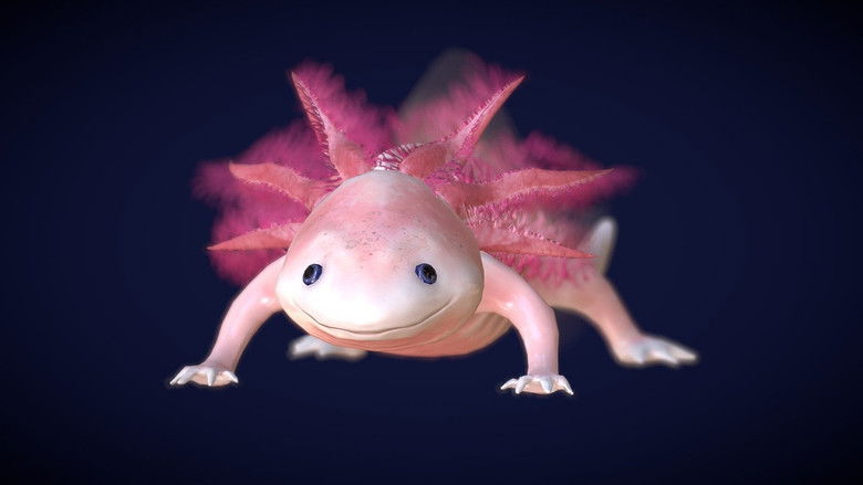Backdrop image for movie Axolotl, la salamandre miraculeuse