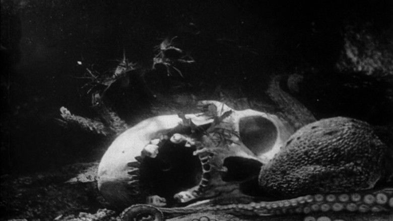 Backdrop image for movie The Octopus
