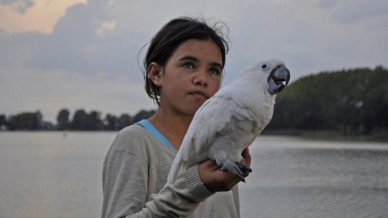 Backdrop image for movie Above Us All