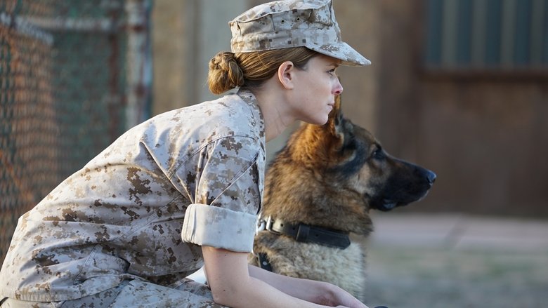 Backdrop image for movie Megan Leavey