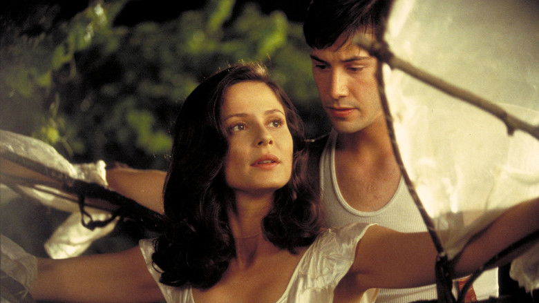 Backdrop image for movie A Walk in the Clouds