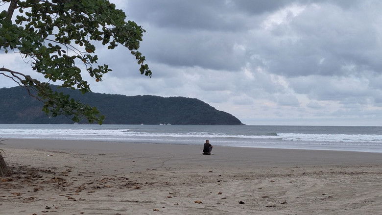 Backdrop image for movie Um Momento no Tempo