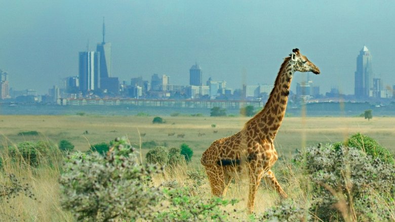 Backdrop image for movie Breaking Boundaries: The Science of Our Planet