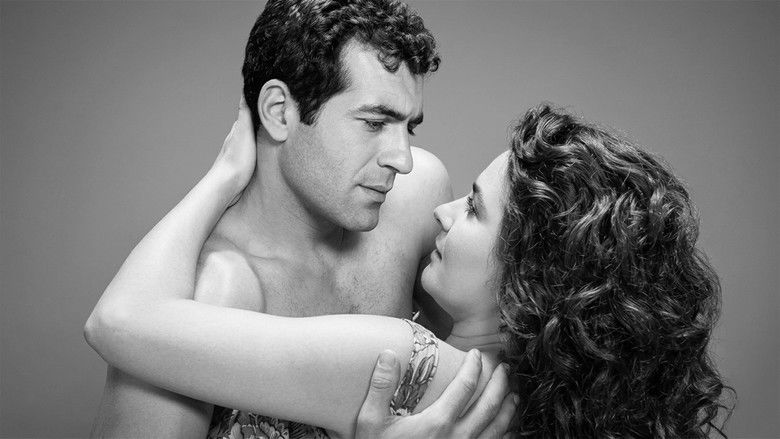 Backdrop image for movie Sokak Kızı