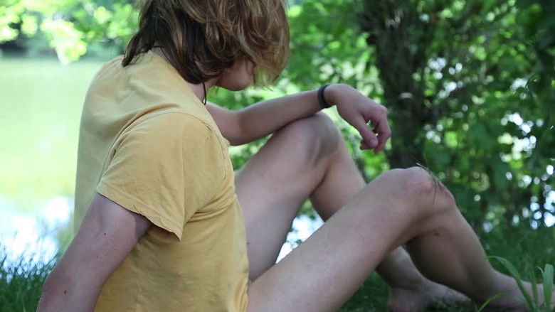 Backdrop image for movie Like Cattle Towards Glow