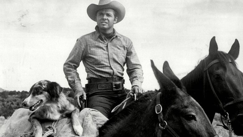 Backdrop image for movie Six Black Horses