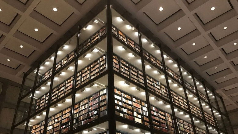 Backdrop image for movie Palladio: The Power Of Architecture