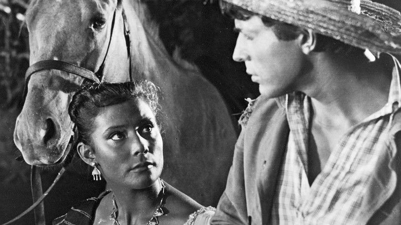 Backdrop image for movie The Mexican