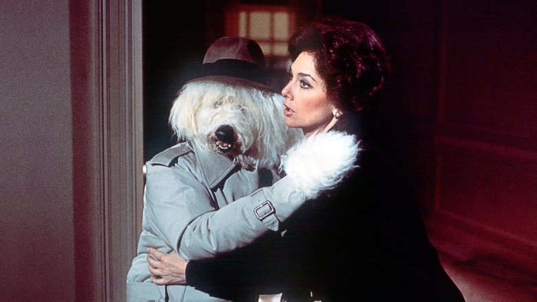 Backdrop image for movie The Shaggy D.A.