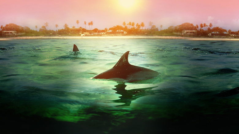 Backdrop image for movie Sharks vs. Dolphins: Bahamas Battleground